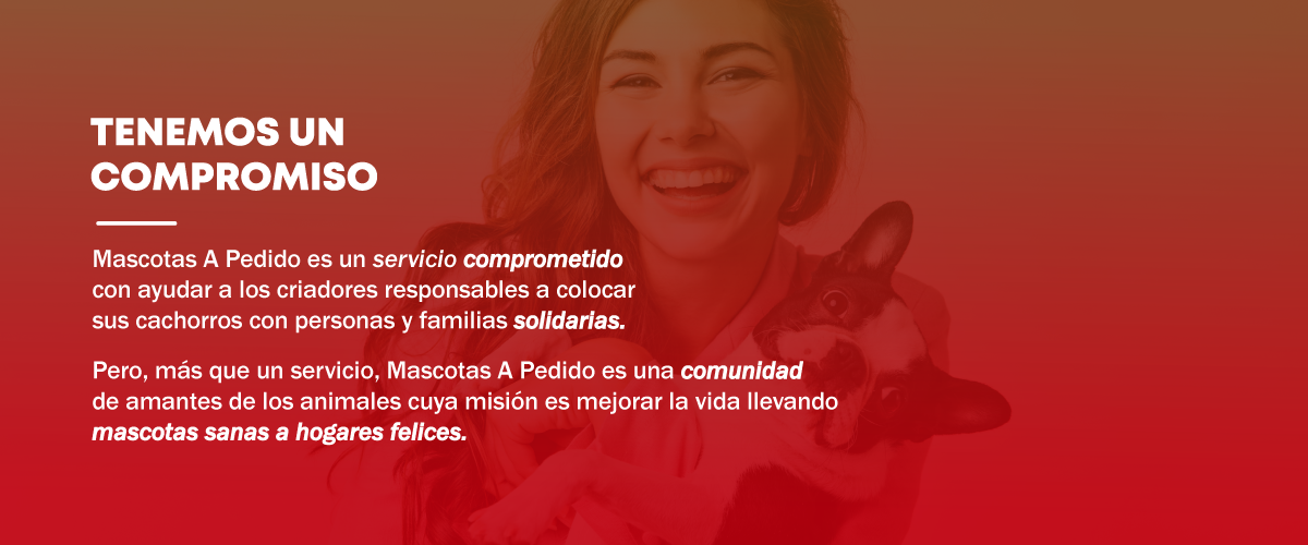 Mascotas a Pedido