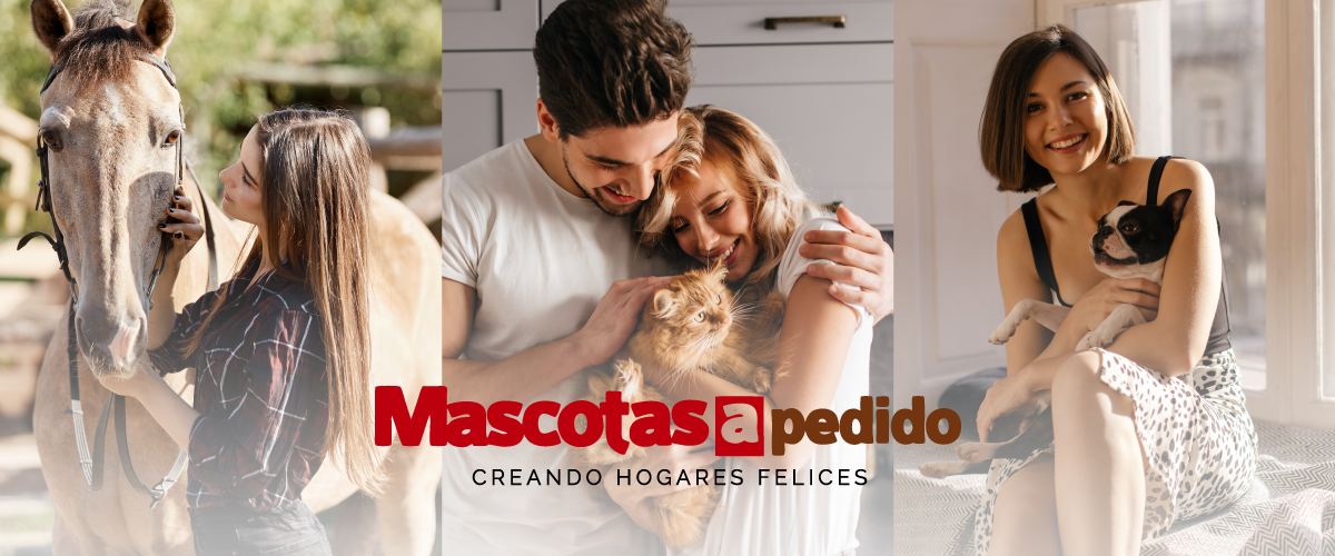 Mascotas a Pedido