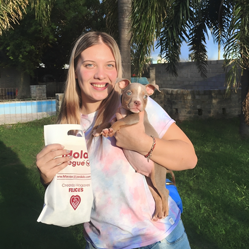 Entrega 4