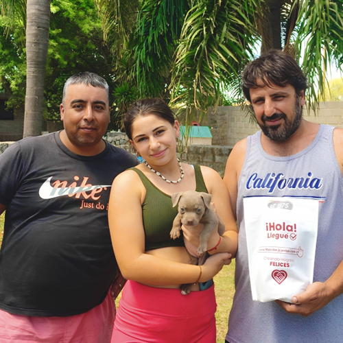 Entrega 7